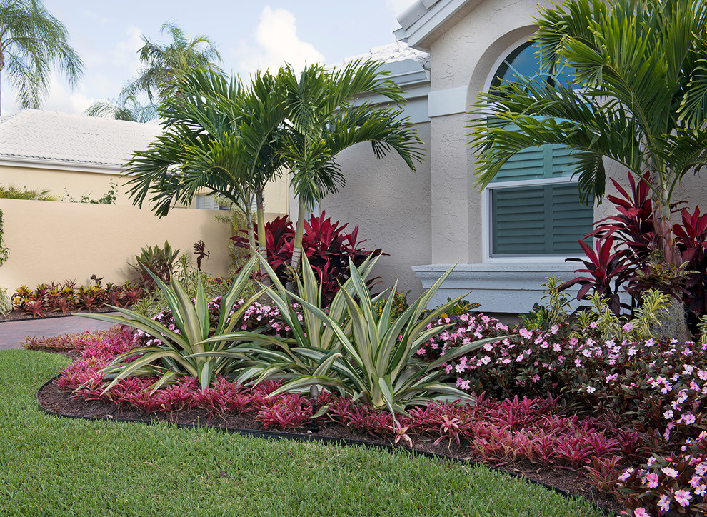 This is an example of a small tropical front yard partial sun garden in Miami.