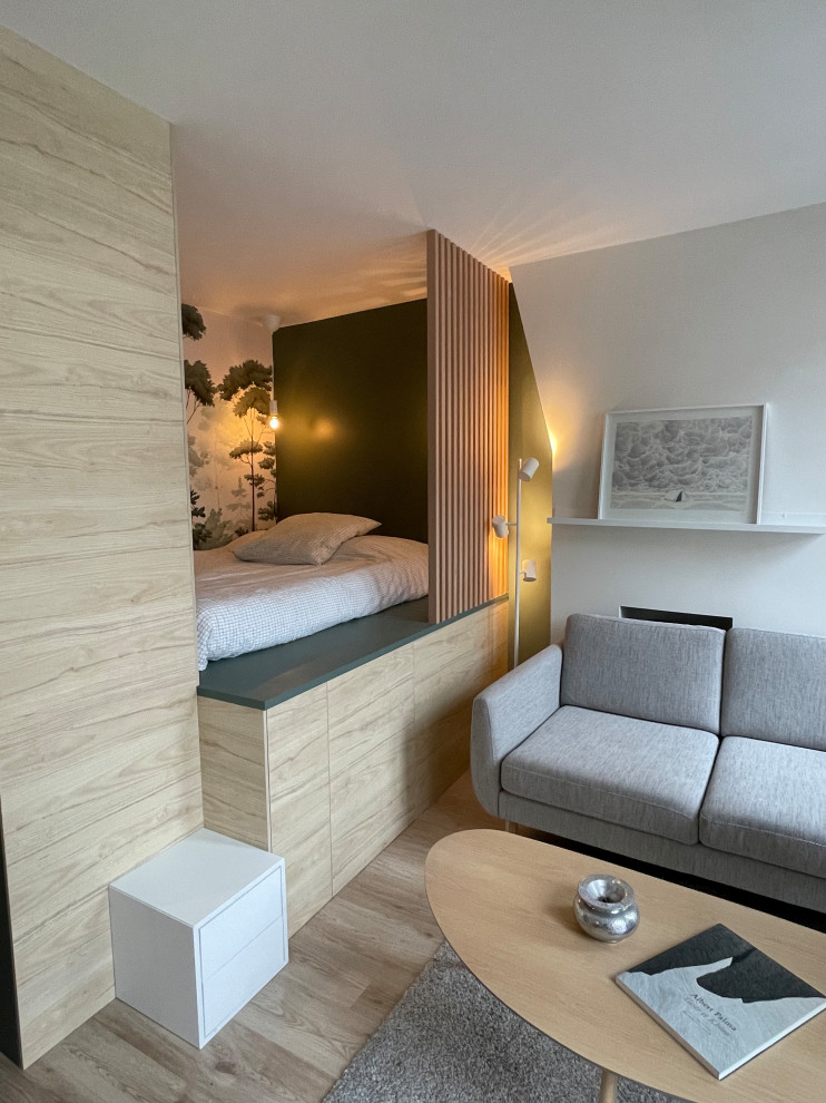 Small contemporary bedroom in Paris.