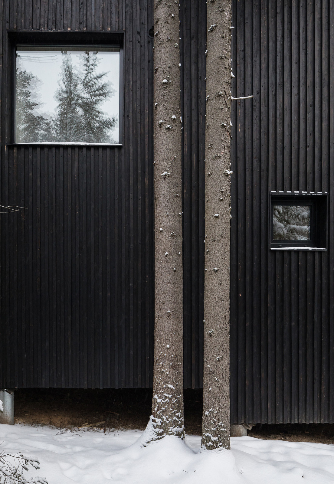 Дом для двух художников