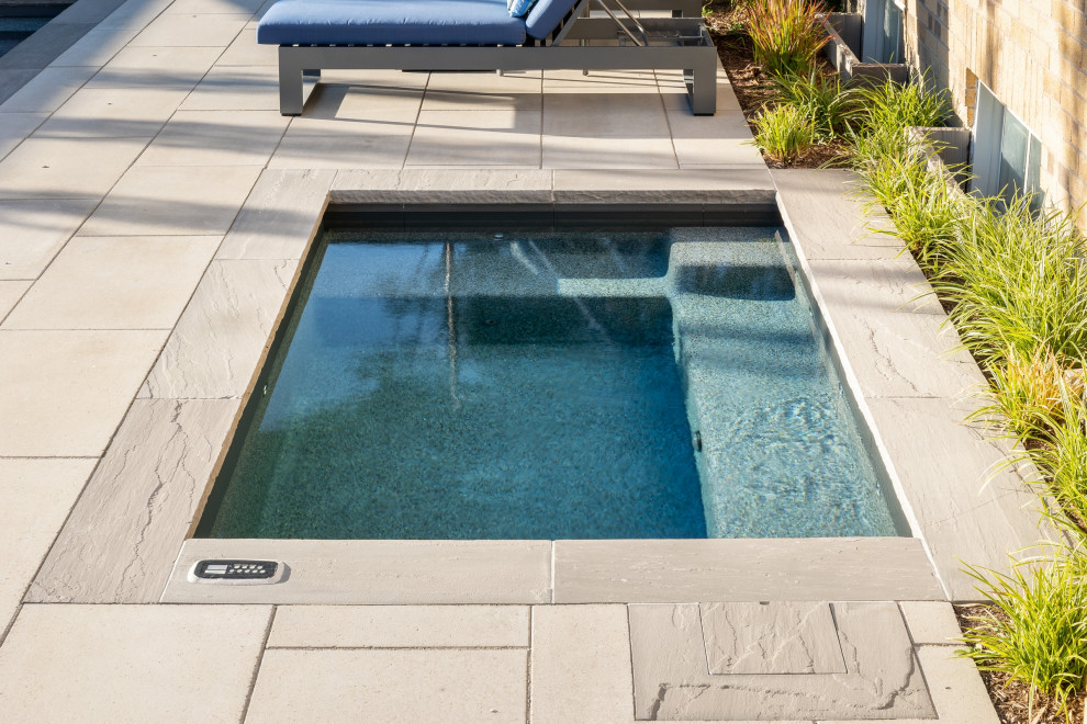 Imagen de piscina infinita tradicional renovada de tamaño medio rectangular en patio trasero con paisajismo de piscina y adoquines de hormigón