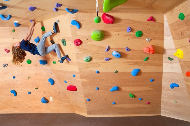 Climbing Wall modern-car-porch