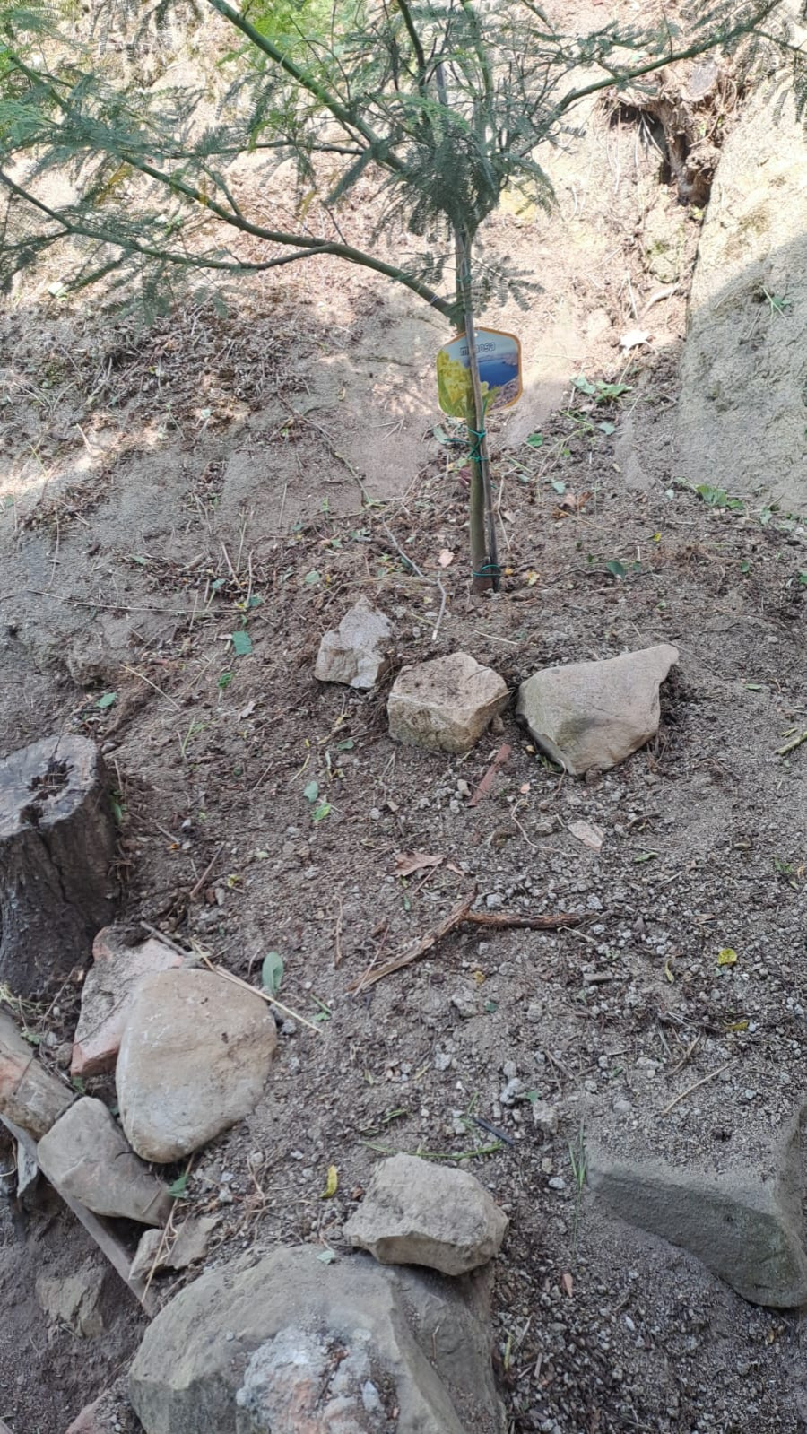 Un giardino sulle colline pavesi
