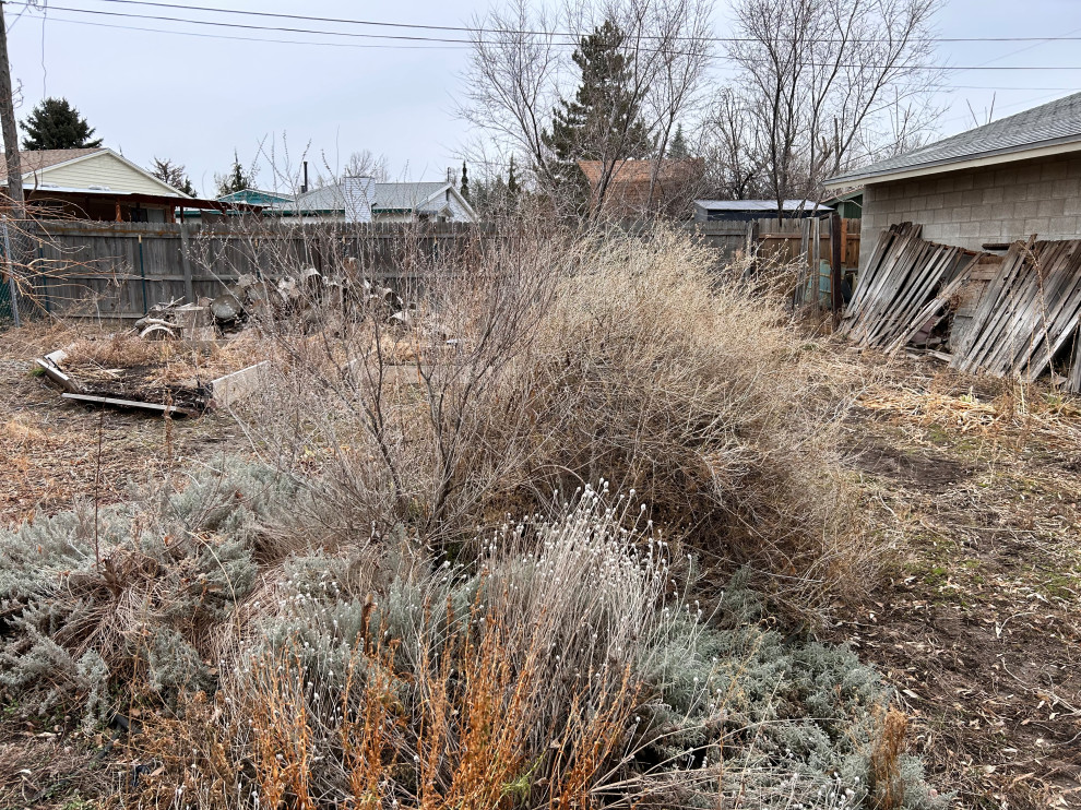 West Valley Landscape Renovation