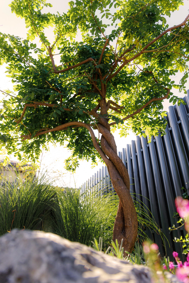 Mediterranean Garden