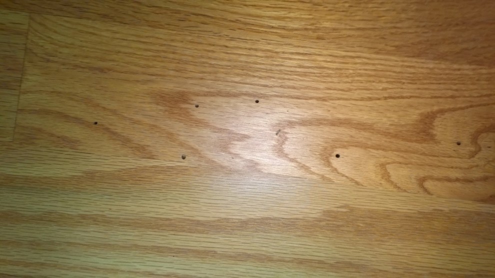 what caused this new small dark hole on my hardwood floor recently? - Home  Improvement Stack Exchange