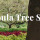 Ashtabula Tree Service