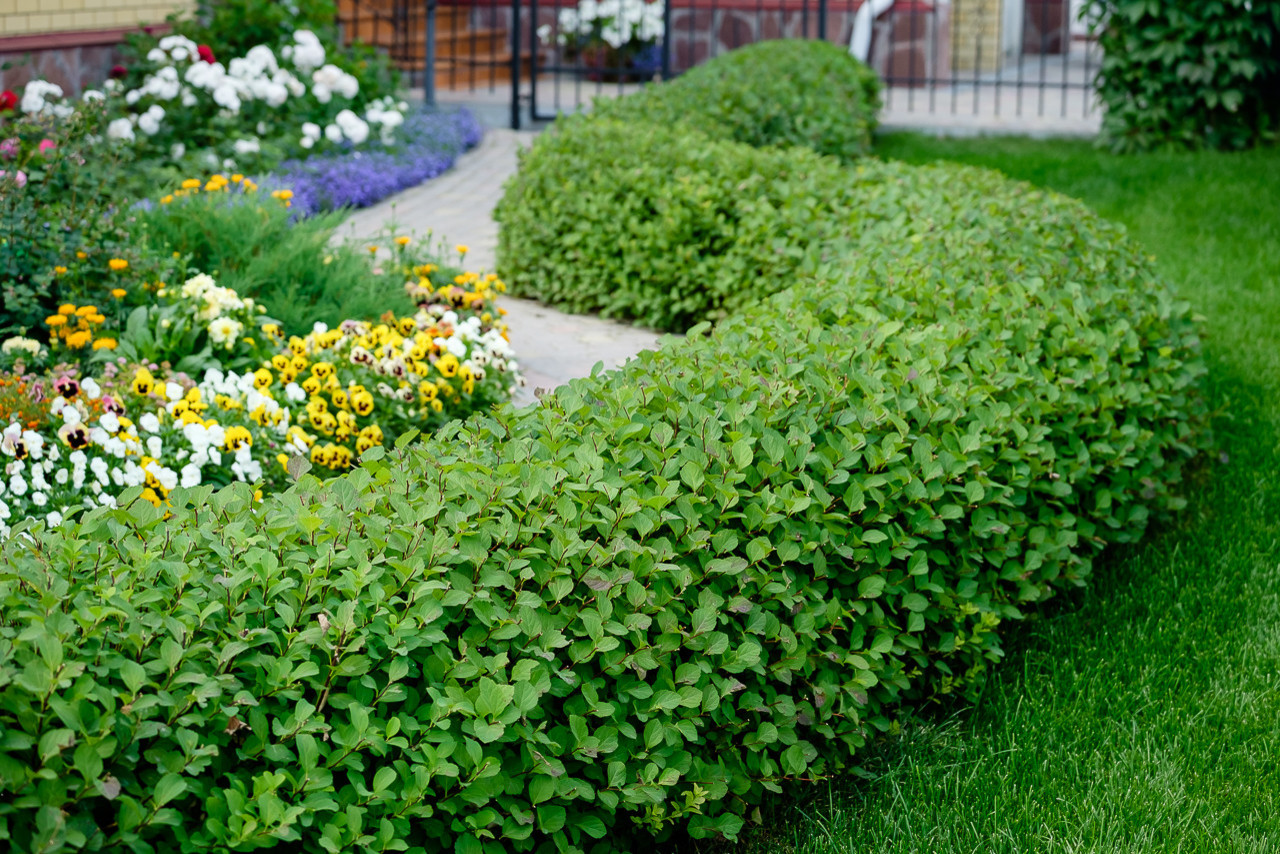 Сад с зеленой крышей