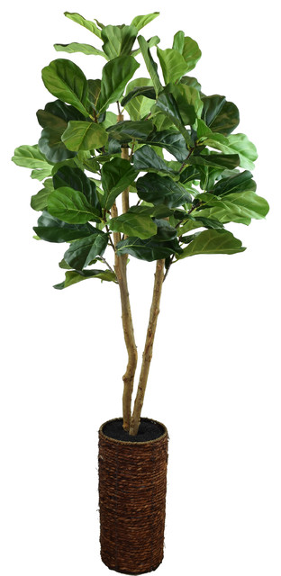 Potted Faux Fiddle Leaf Fig Tree With Basket 5 Tropical Potted Faux Fiddle Leaf Fig Tree With Basket 5