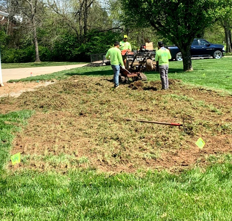 Removal of lawn