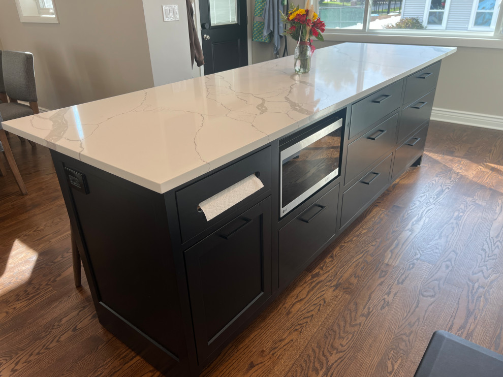 Chicago Kitchen/Dining Renovation