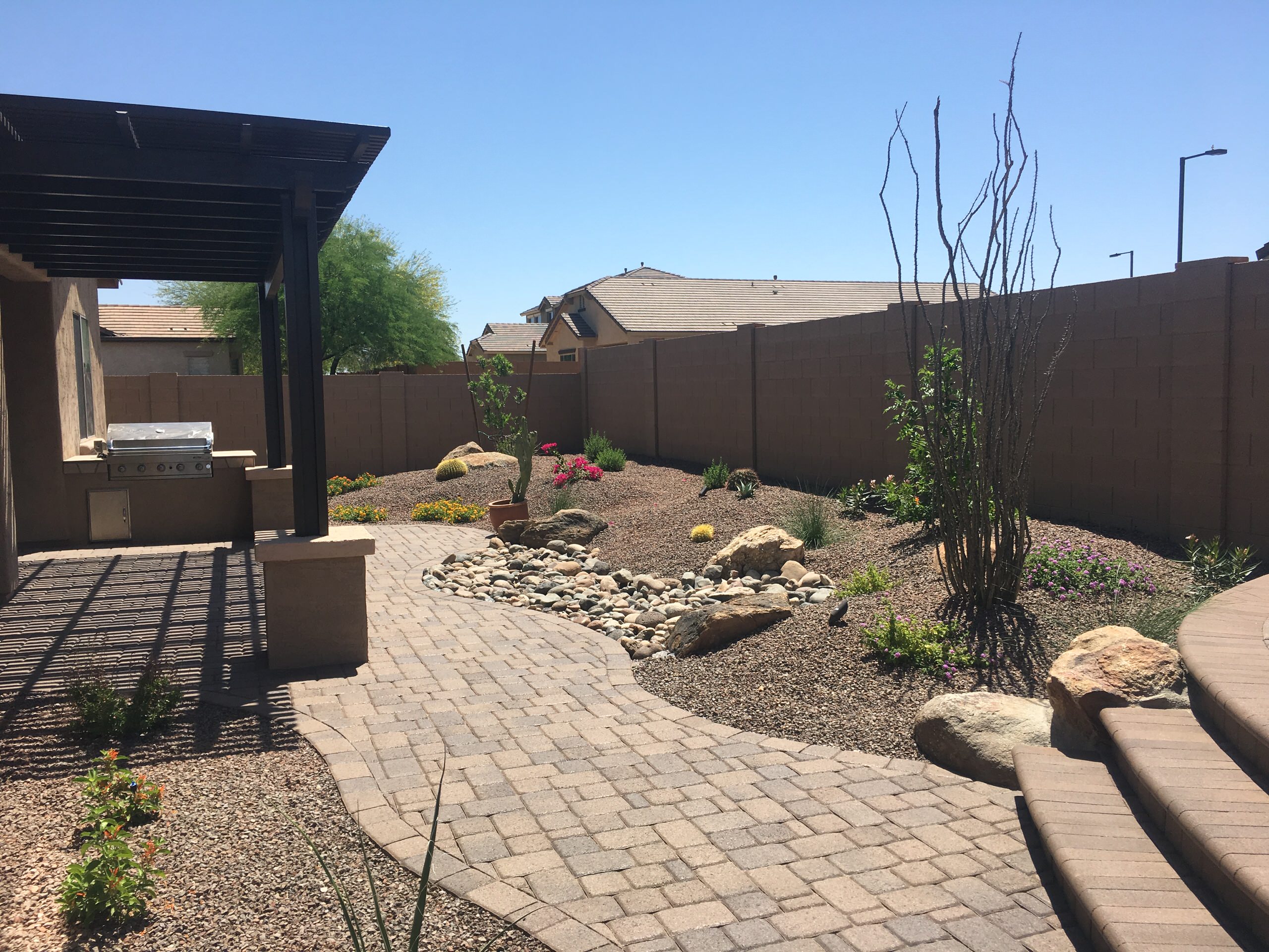 Desert Landscaping