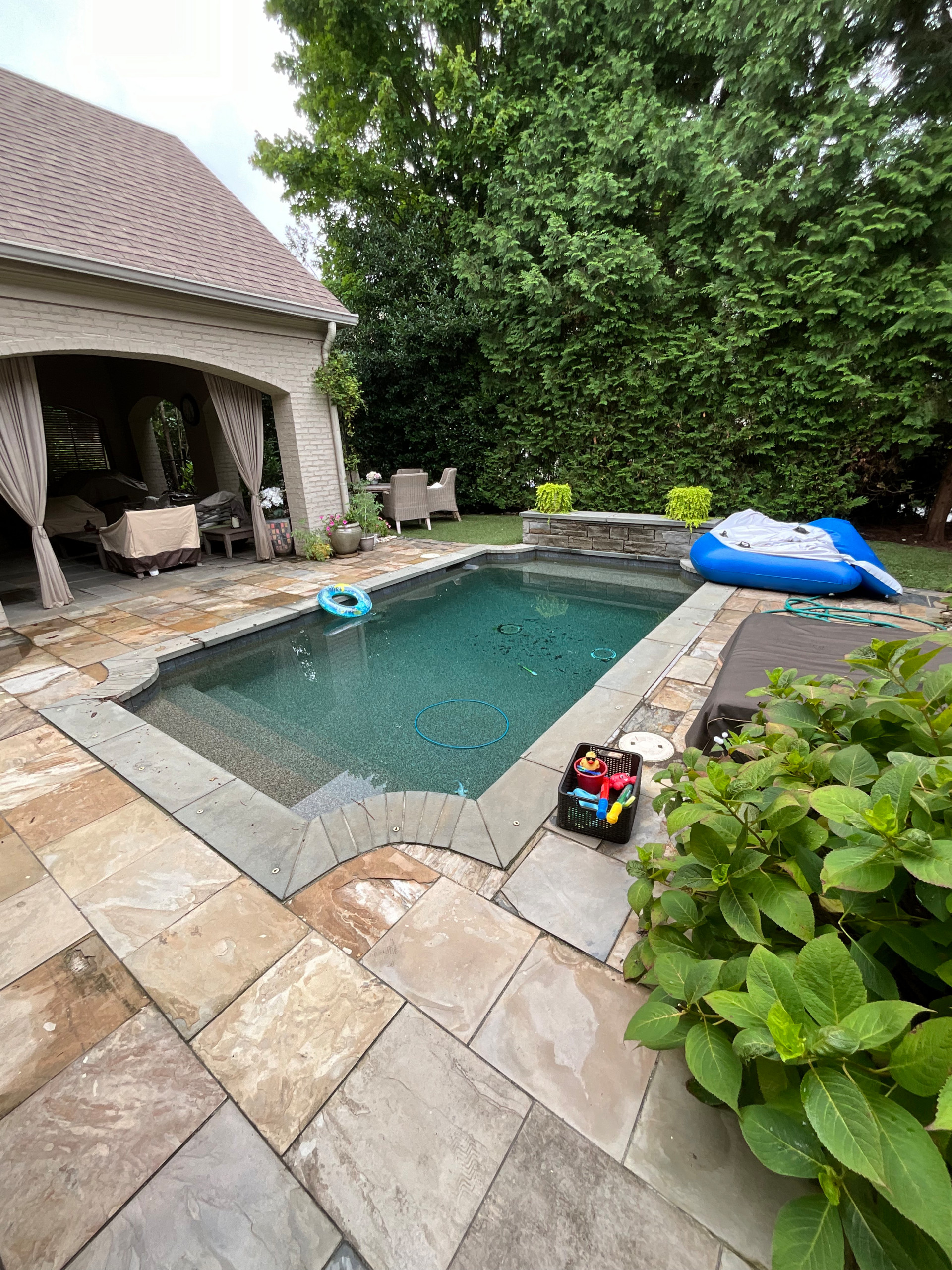 Back Yard Update