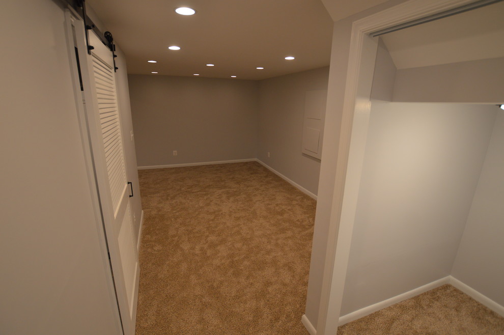 Small arts and crafts fully buried basement in DC Metro with carpet, beige floor and grey walls.