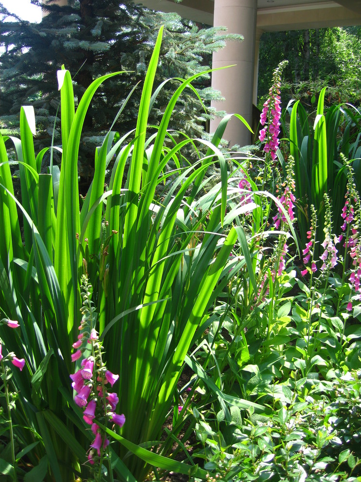 Сад в английском стиле