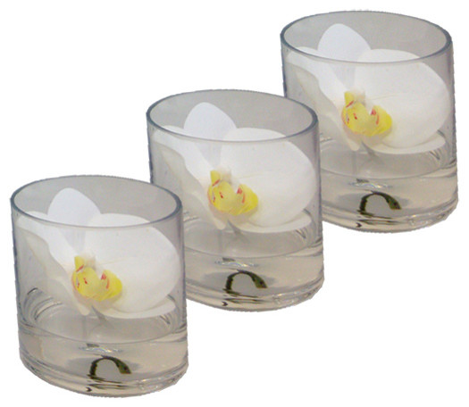 Phalaenopsis Orchid In 5 Cylinder Vase Set Of 3 Contemporary