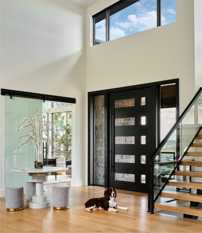 Geräumiges Modernes Foyer mit weißer Wandfarbe, hellem Holzboden, Drehtür, dunkler Holzhaustür, beigem Boden und gewölbter Decke in Denver