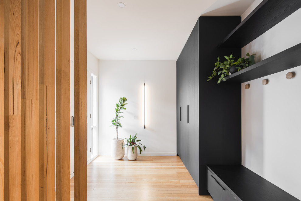 This is an example of a mid-sized contemporary mudroom in Melbourne with white walls, medium hardwood floors, a double front door, a black front door, brown floor and coffered.