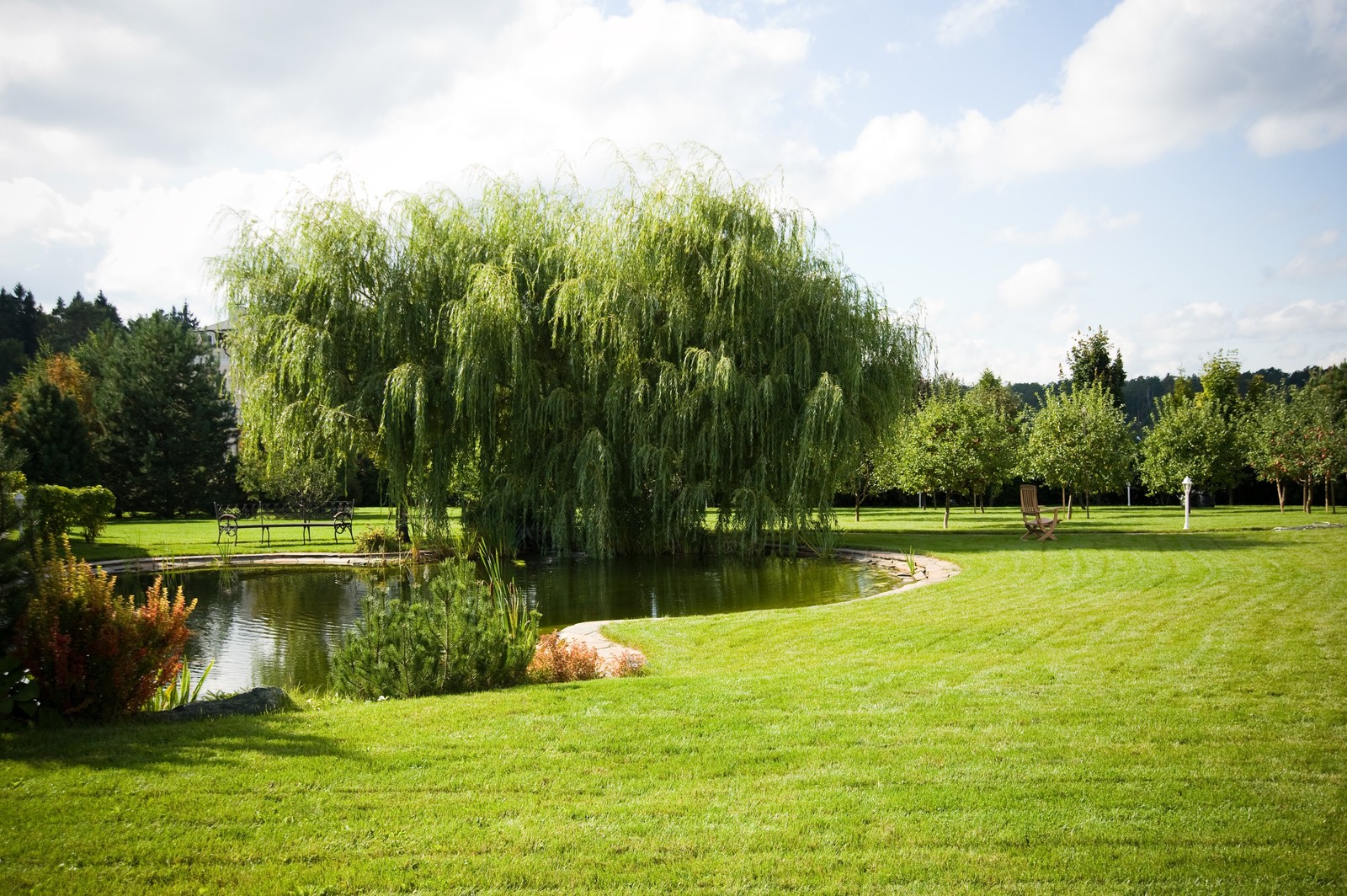 Наши работы