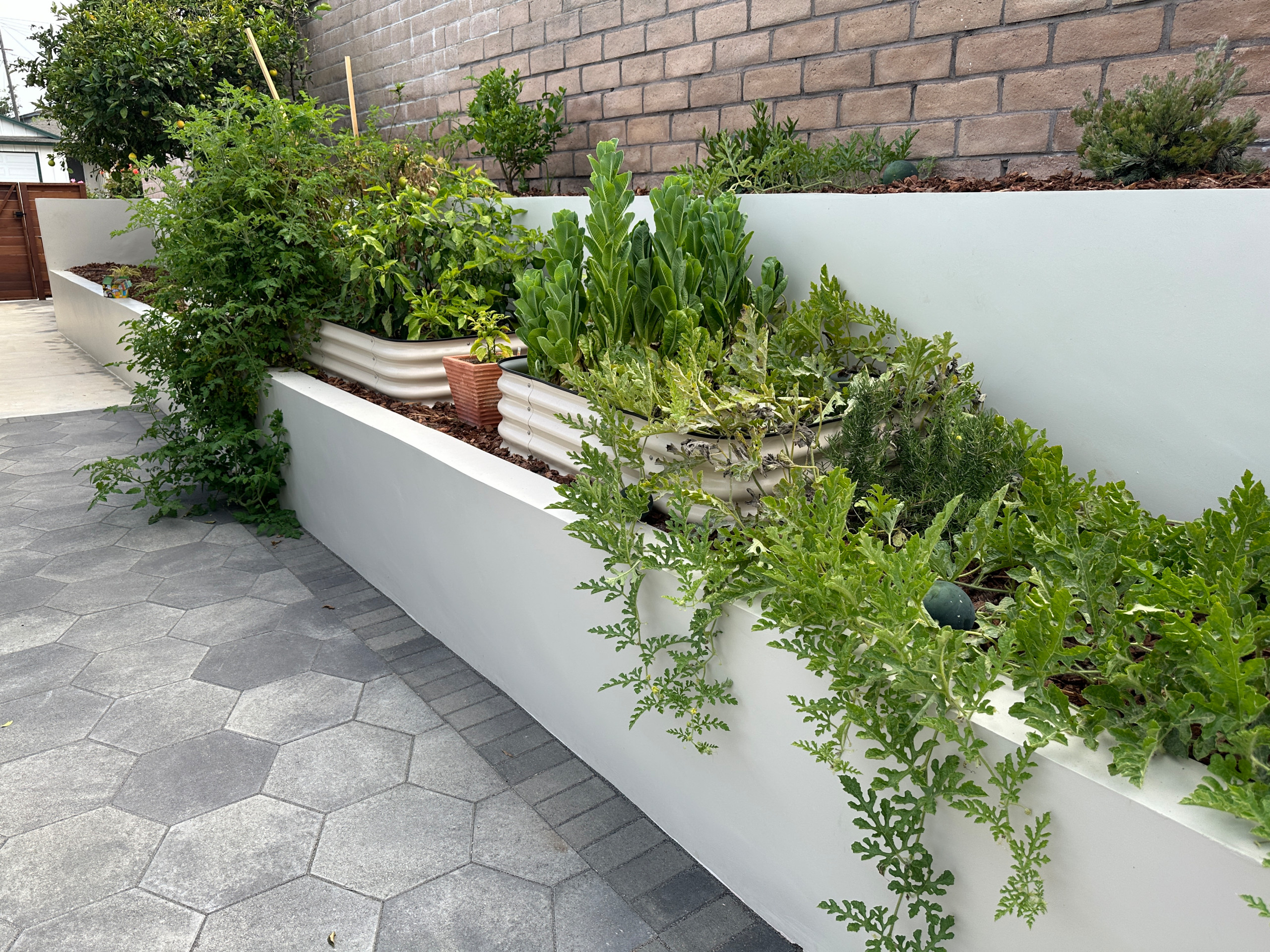 Inspiring Family-Friendly Oasis