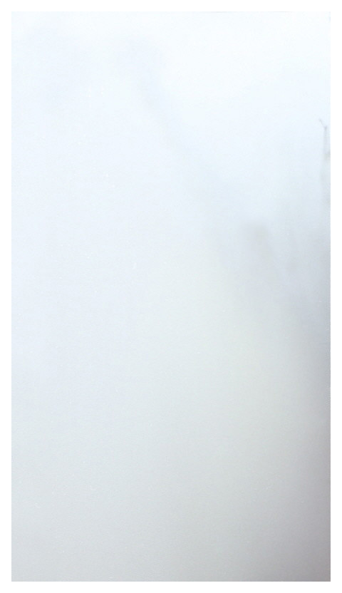 Non-Adhesive Frosted Privacy Window Film, White