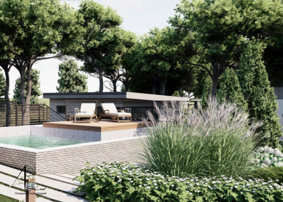 Солнце в кронах