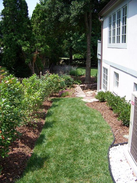 Vegetative Screen traditional-garden