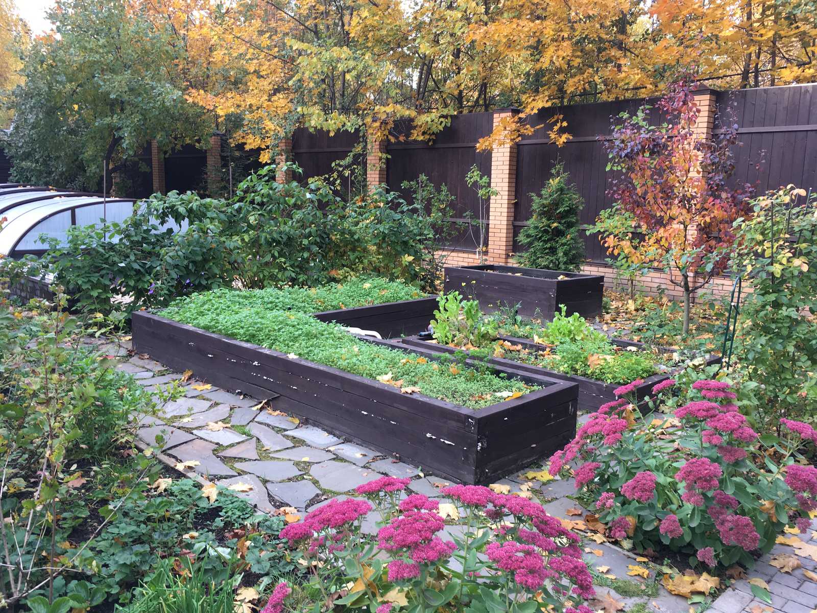 Белкин сад. Осень 2019