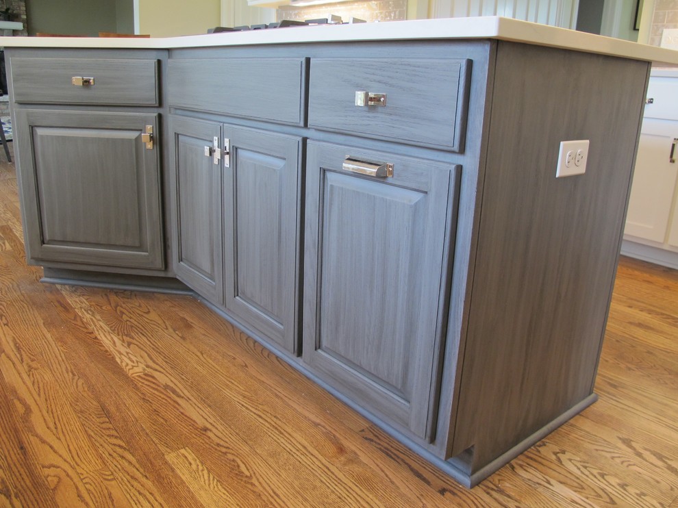 Example of a transitional home design design in Chicago
