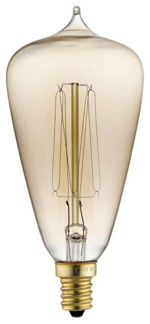 Kichler 40W Antique Style Edison Bulb, Clear - Transitional - Incandescent Bulbs - by Lighting ...