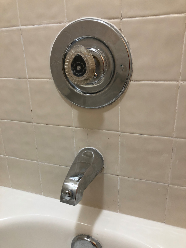 Replace Shower Trim at Peggy Lynch blog