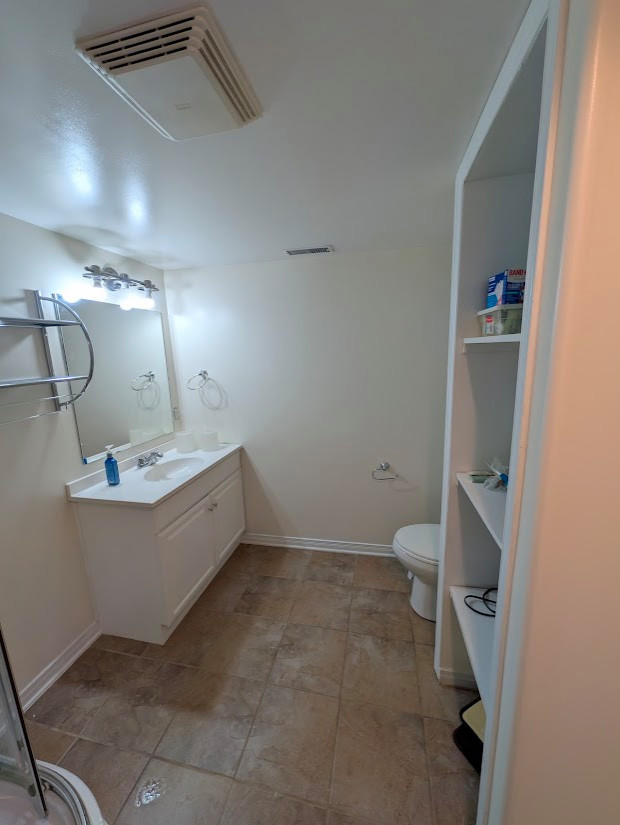 Basement Design+Build - Painting