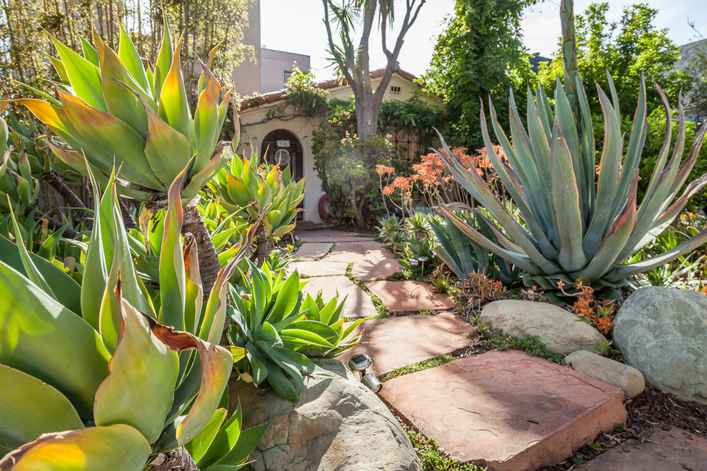 Photo of a mid-sized mediterranean front yard formal garden in Los Angeles with a garden path and natural stone pavers.