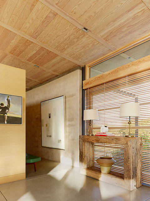 Caterpillar House contemporary-hall