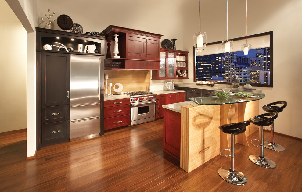 Kitchen - transitional kitchen idea in Miami