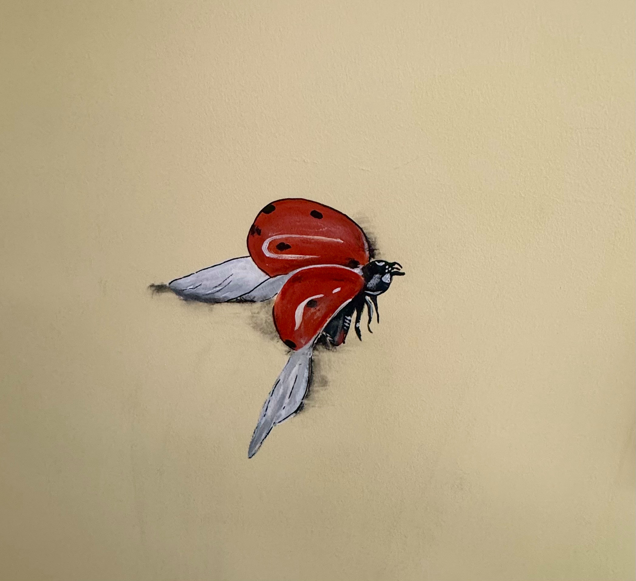 Murals and Decorative Painting