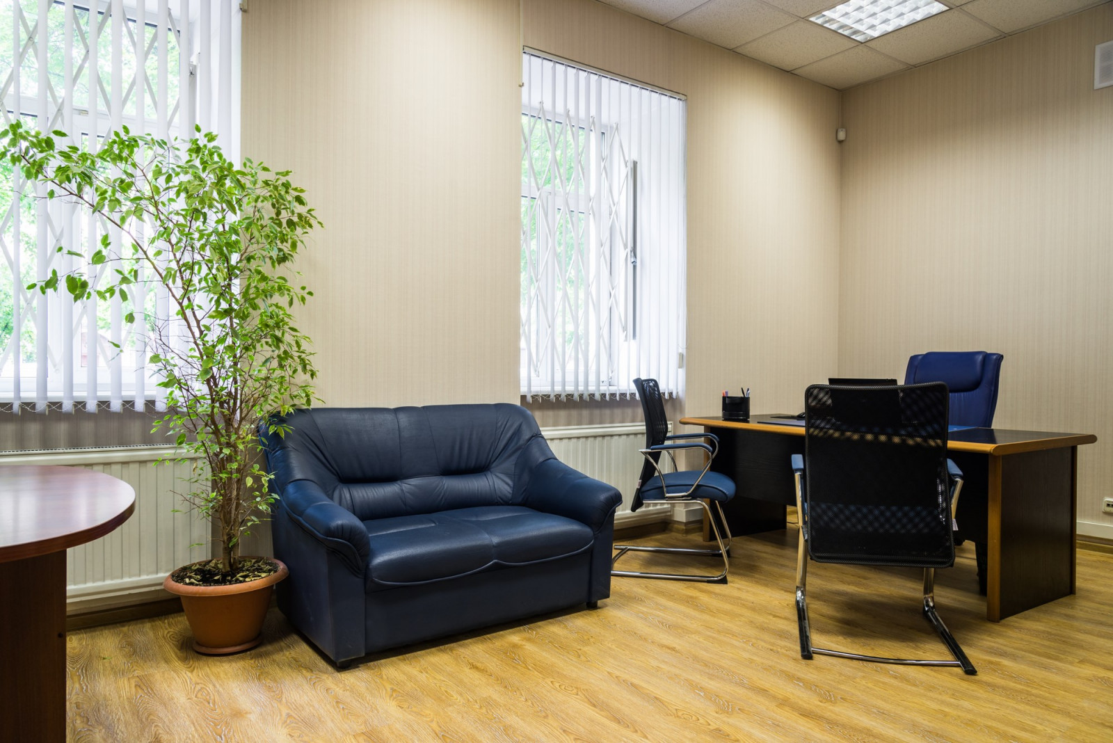 Невский проспект. Детективное агенство