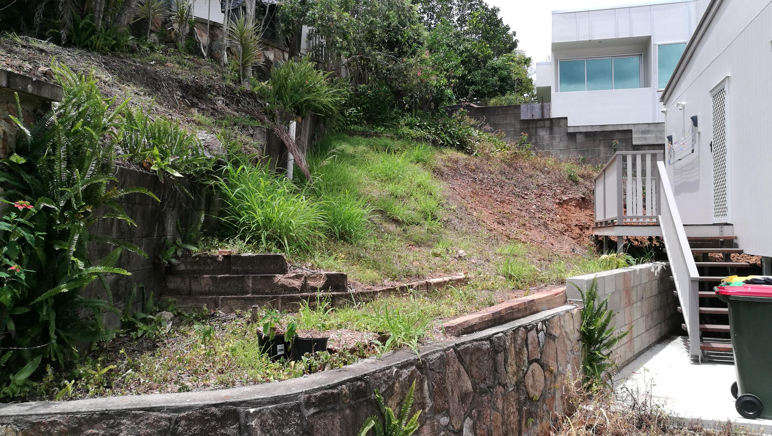 extremely steep unusable north garden