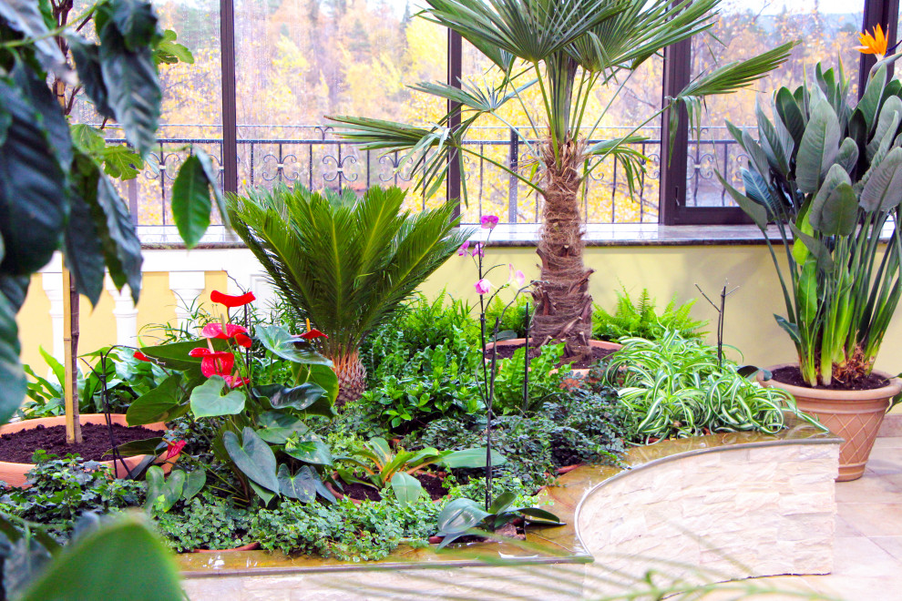 Мурманск, зимний сад