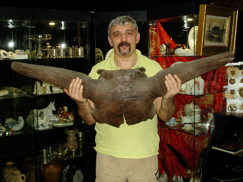 Антиквар - работа пыльная