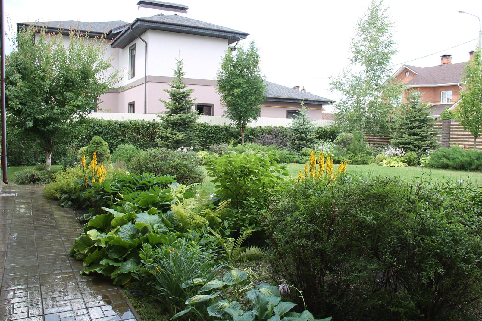 "Теплый ветер"