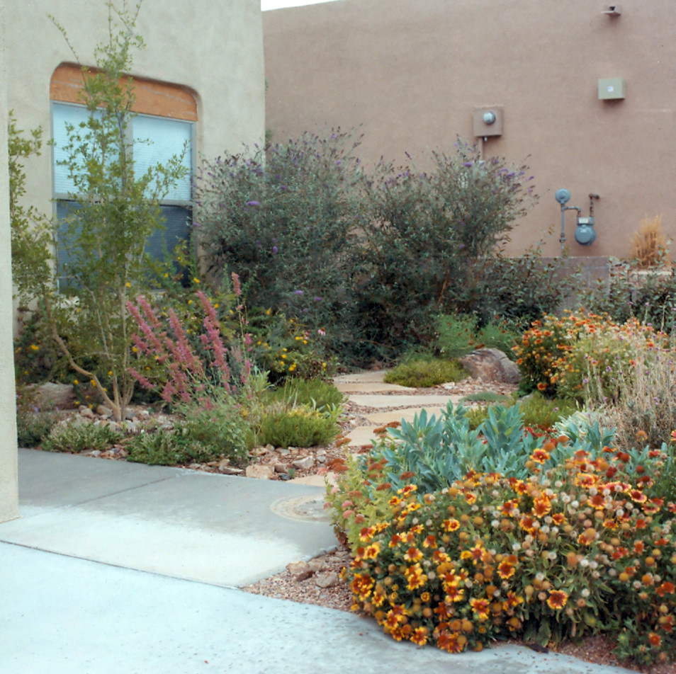 Xeriscape Projects - Southwestern - Landscape ...