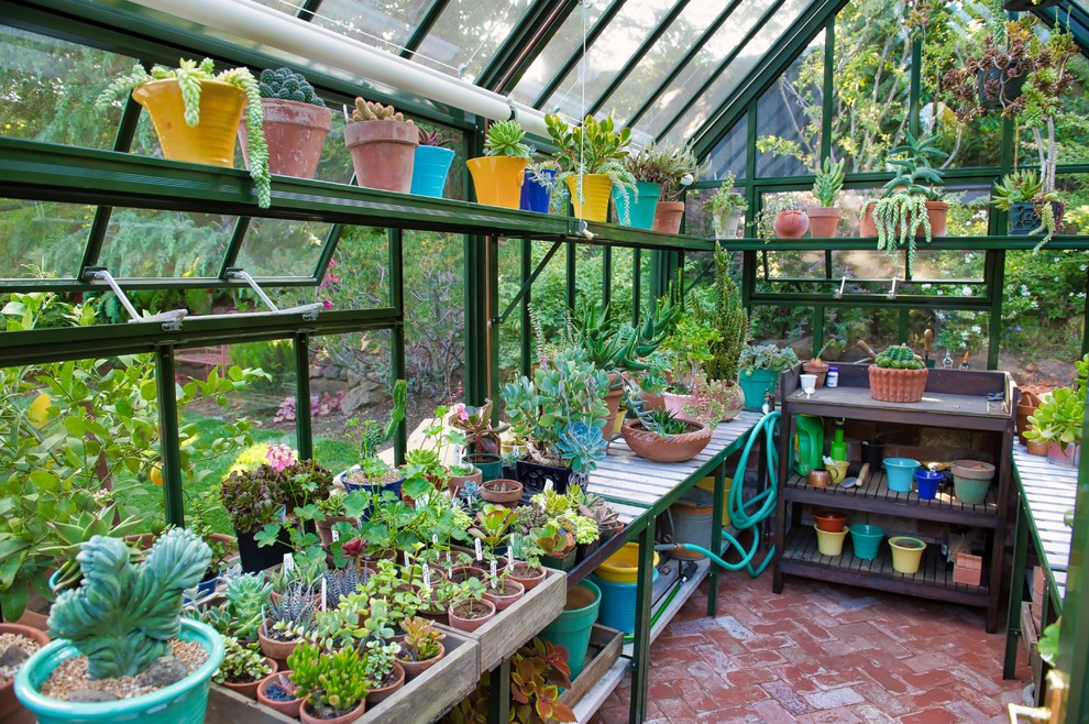 This is an example of a mid-sized traditional detached greenhouse in San Francisco.