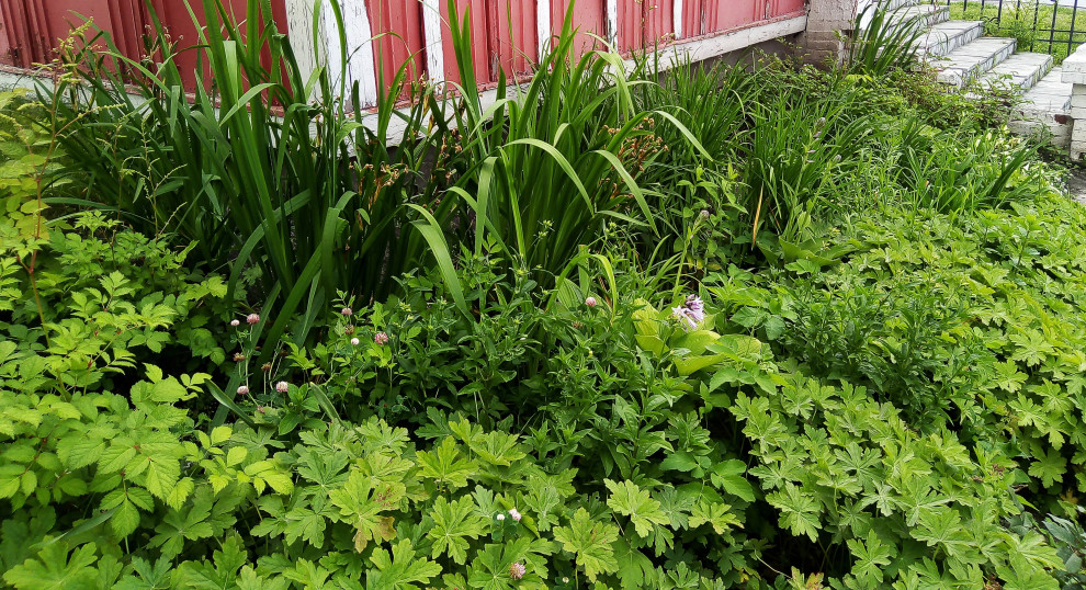 Цветники на территории храма