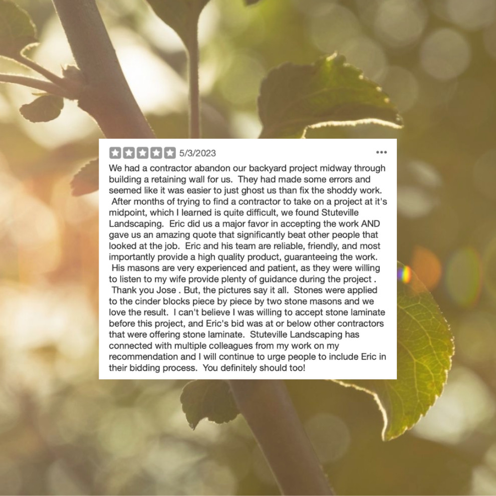 Reviews