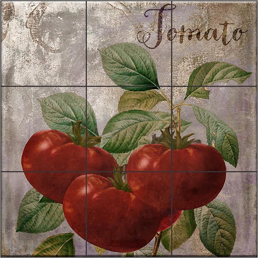 Tile Mural Kitchen Backsplash Medley Tomato by Color Bakery, 18" W