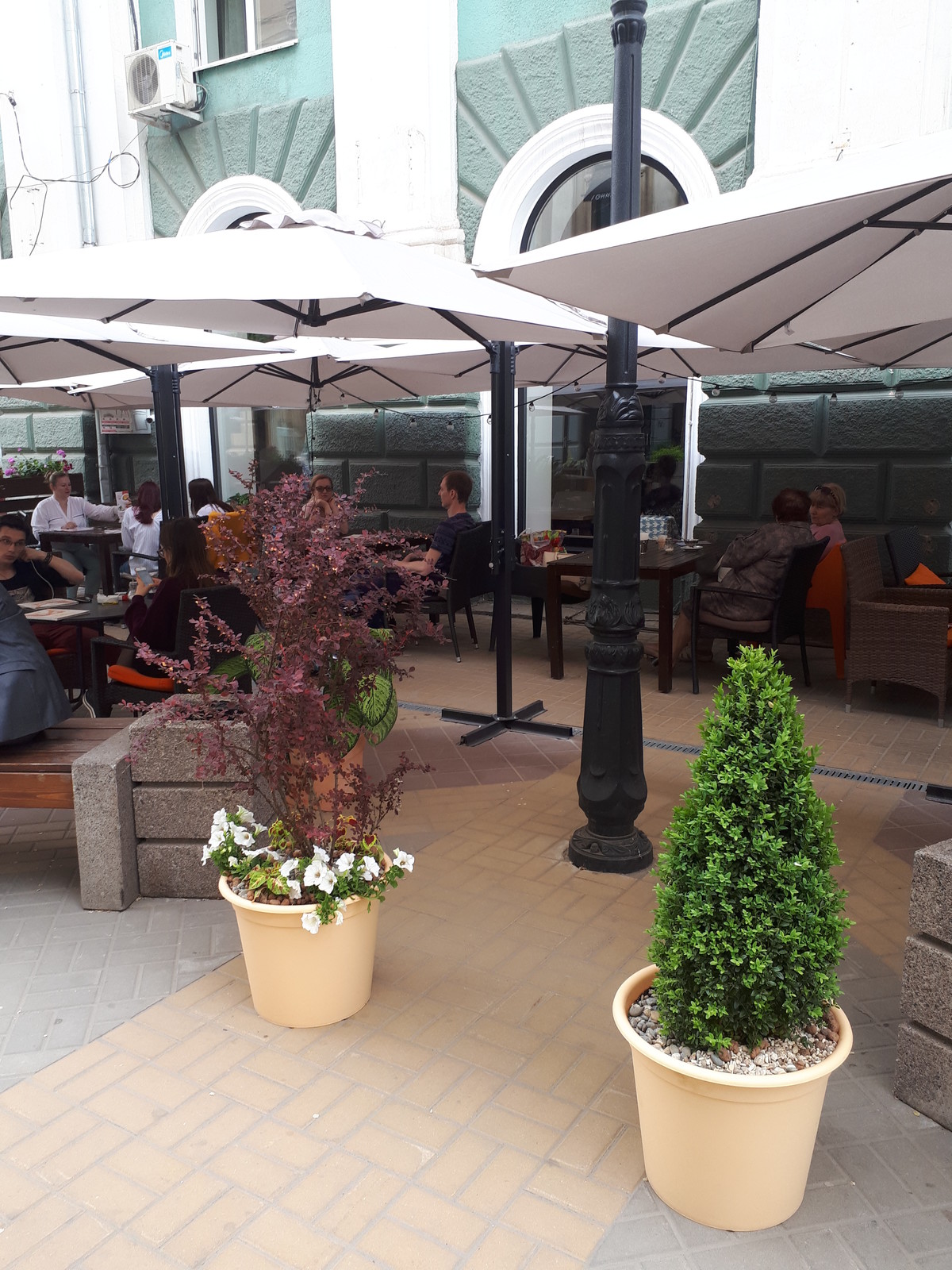 Контейнерное озеленение