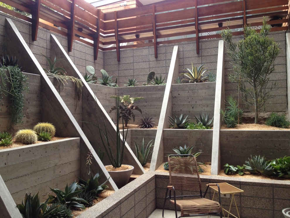 Design ideas for a modern sloped garden in San Francisco.