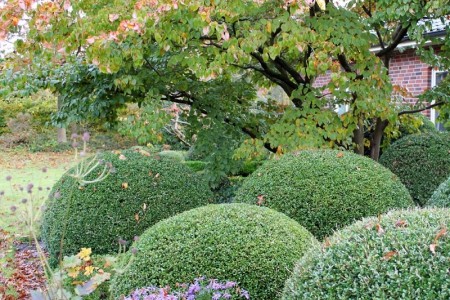 Schaugarten garden