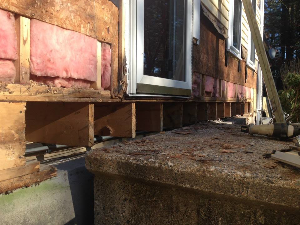 Westford, MA Ant Damage and Water Damage