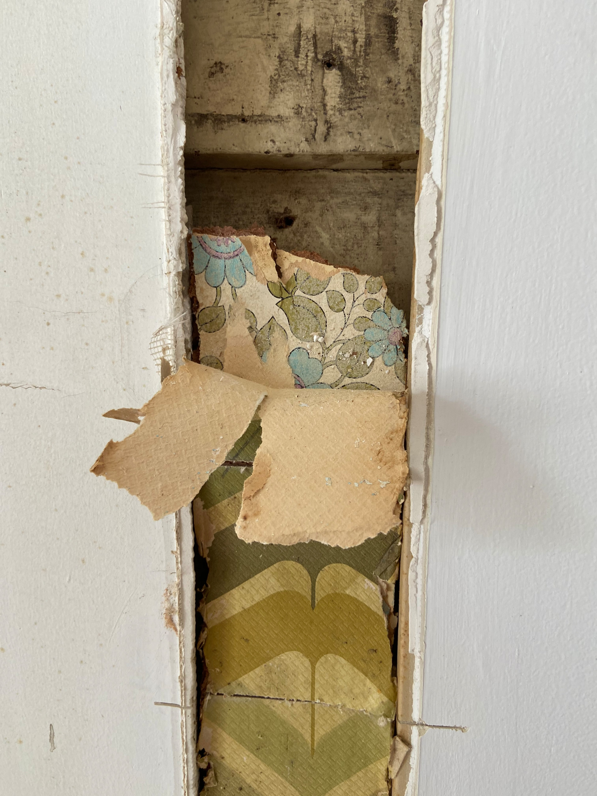 RESTORATION OF A HISTORIC BALMAIN HOME